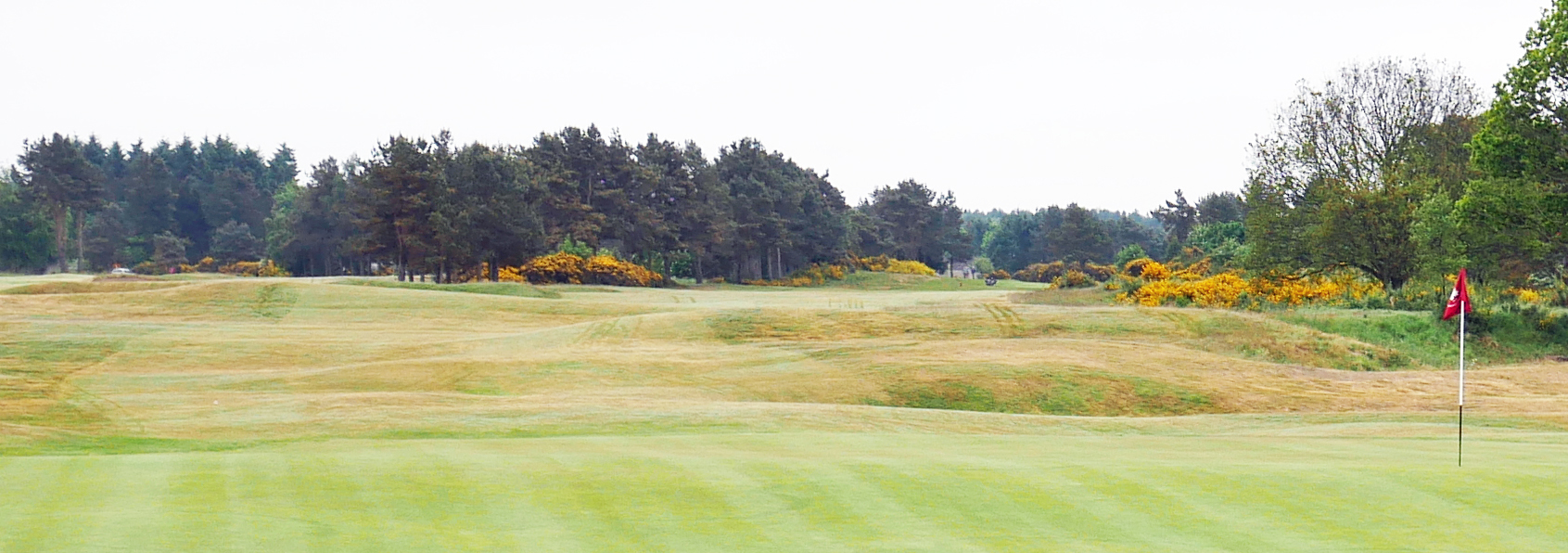 Scotscraig Golf Club - the home of golf