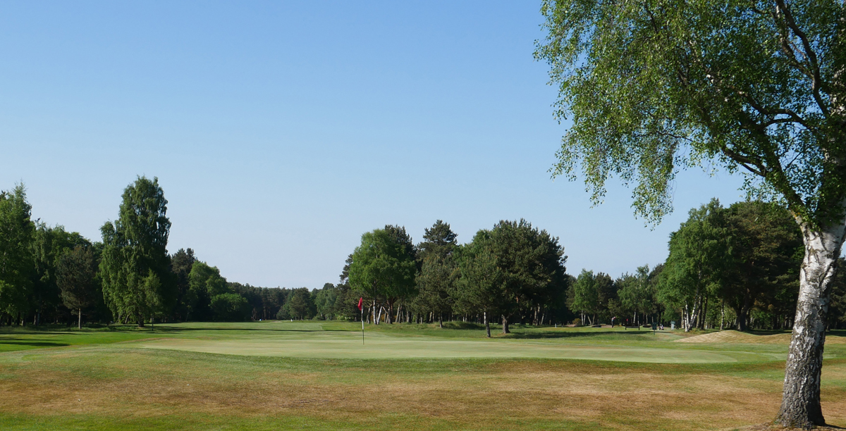 Ladybank Golf Club - the home of golf