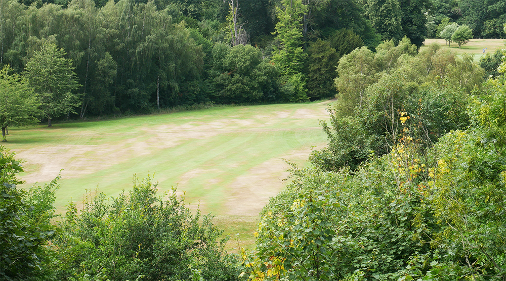 The Home of Golf - Newbattle Golf Club