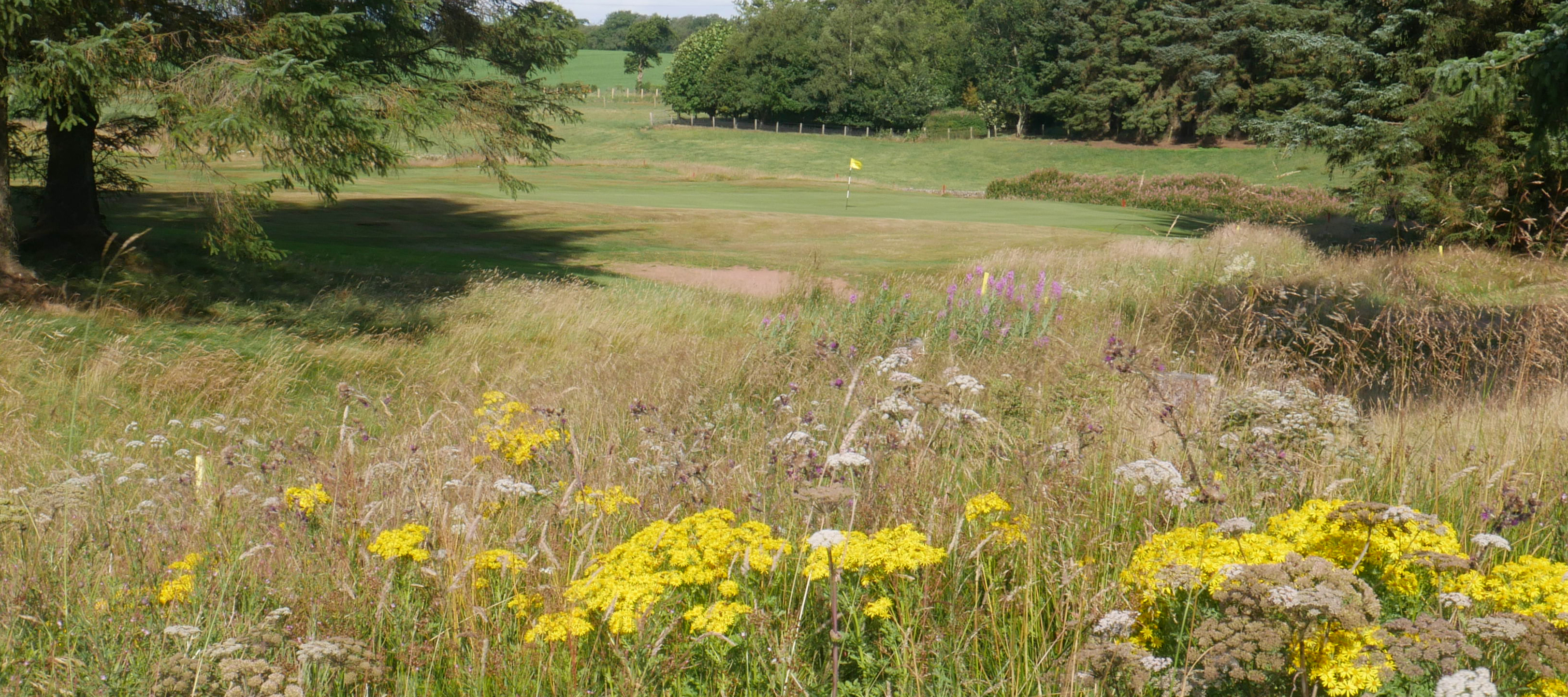 The Home of Golf - Harburn Golf Club - West Lothian 